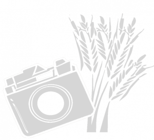 Logo_Louis-scaled-e1757240839261-300×274